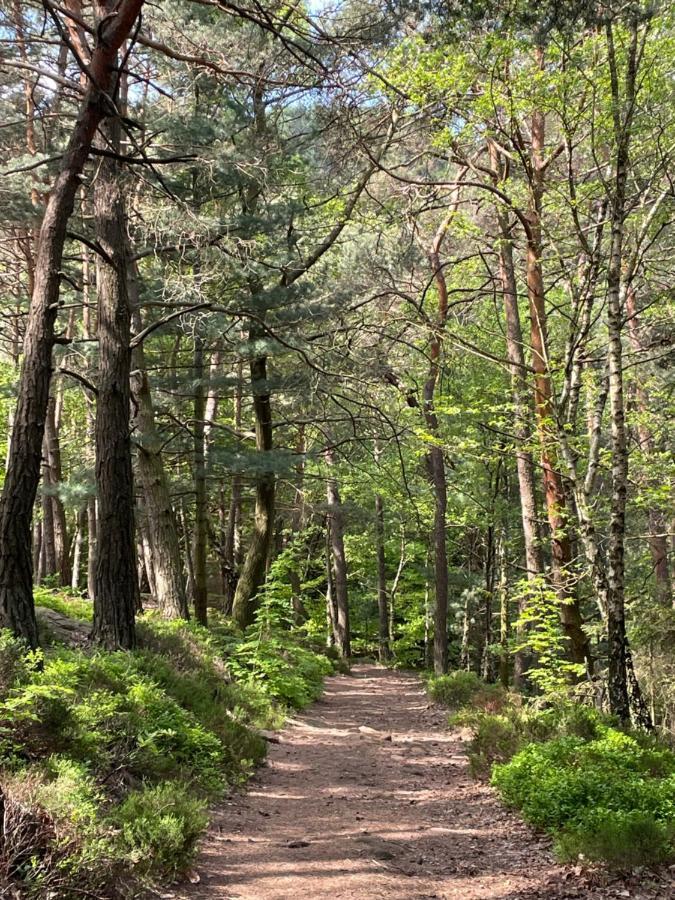 Ferienwohnung Suedliche Weinstrasse Zwischen Wald Und Reben Klingenmünster Εξωτερικό φωτογραφία